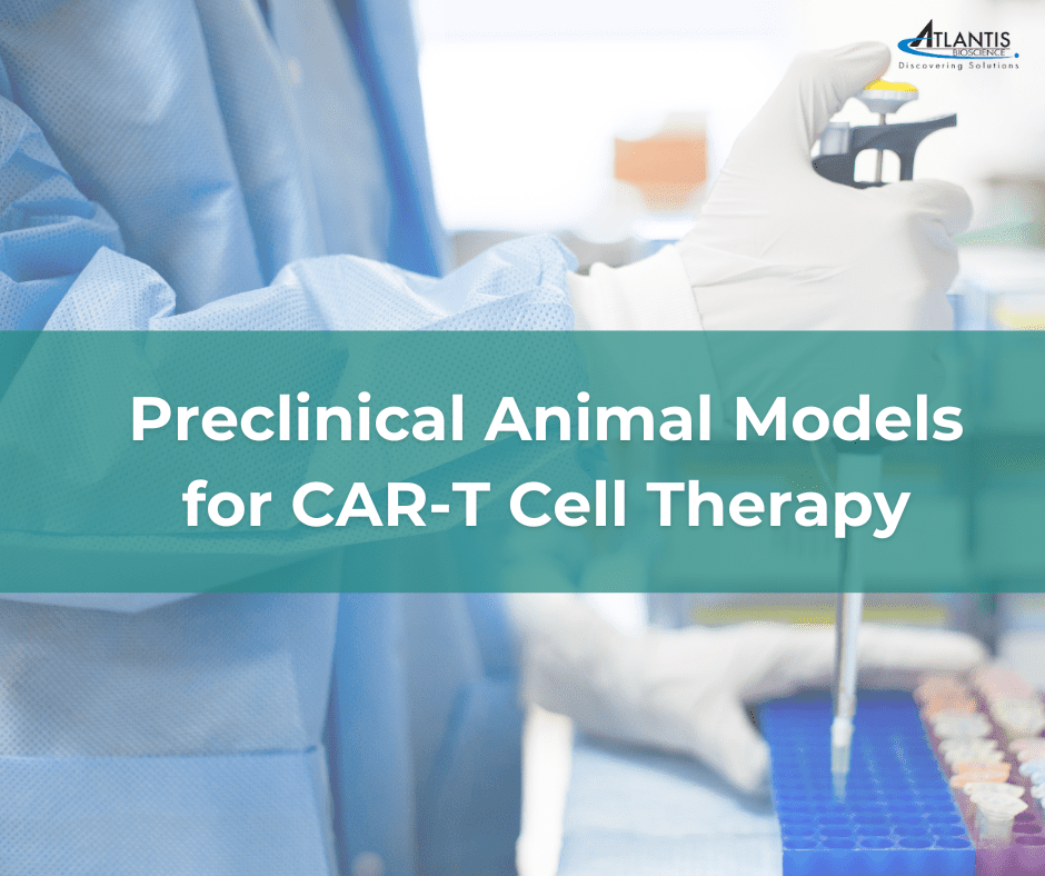 Preclinical Animal Models for CAR-T Cell Therapy
