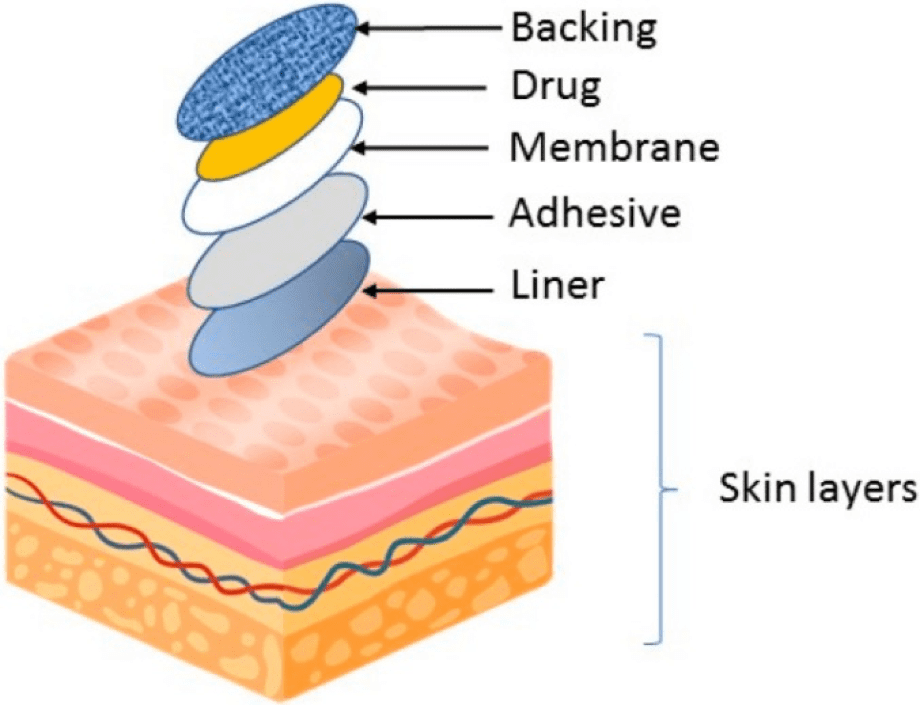 Transdermal Patches: How do these stickers actually work to transport therapeutic drugs to our bodies?