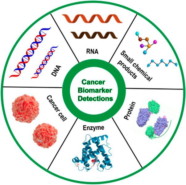 The 6 different types of biomarkers