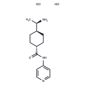 Targetmol Rock Inhibitor Y-27632 dihydrochloride