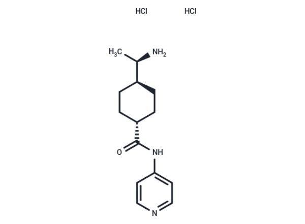 Targetmol Rock Inhibitor Y-27632 dihydrochloride