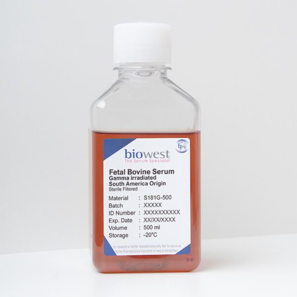 Fetal Bovine Serum (FBS) South America, Gamma Irradiated – S181G