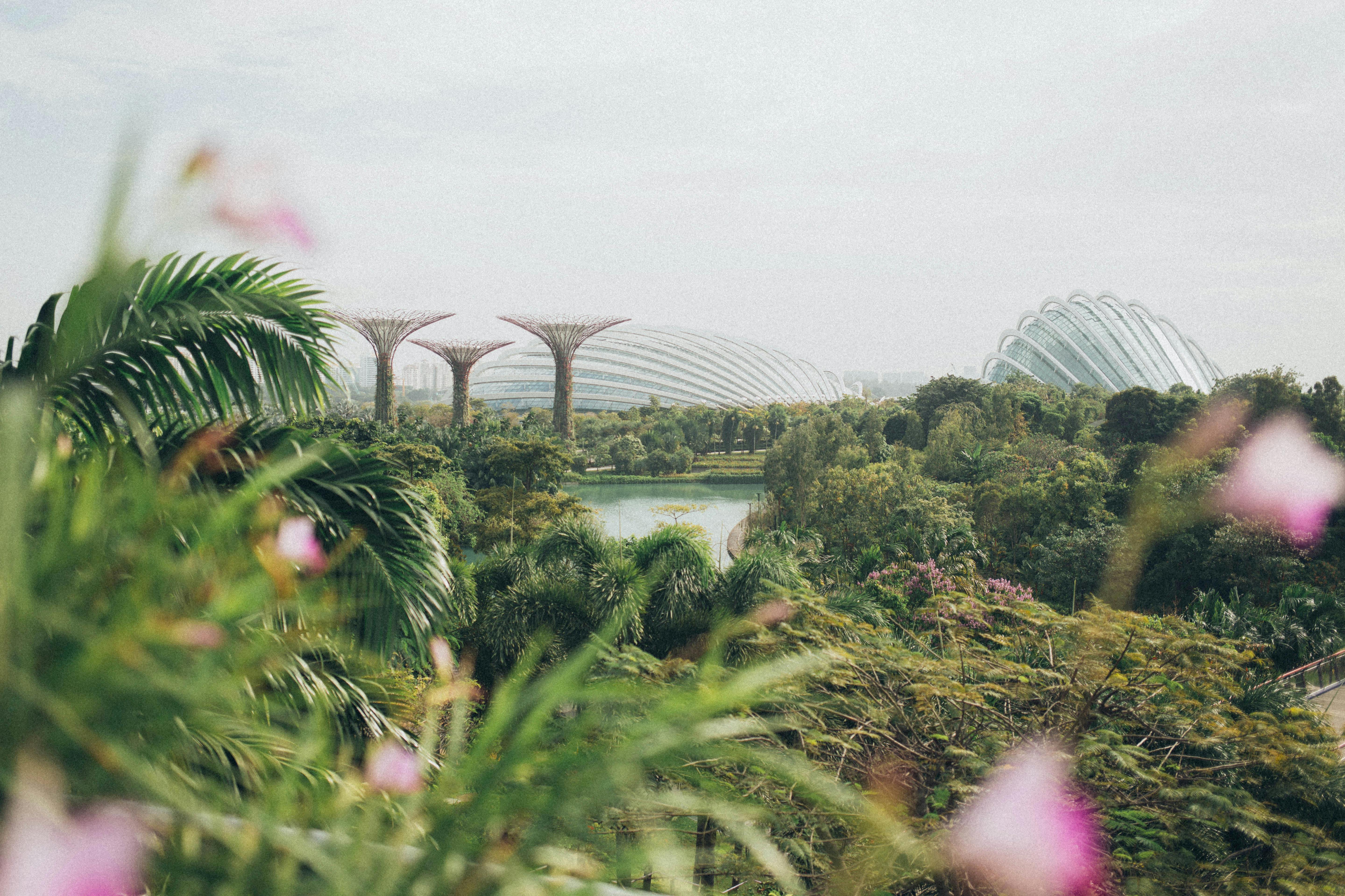 Leveraging Singapore's Grant Landscape for Life Science Startups