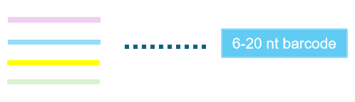 Packgene Barcoded Library Services